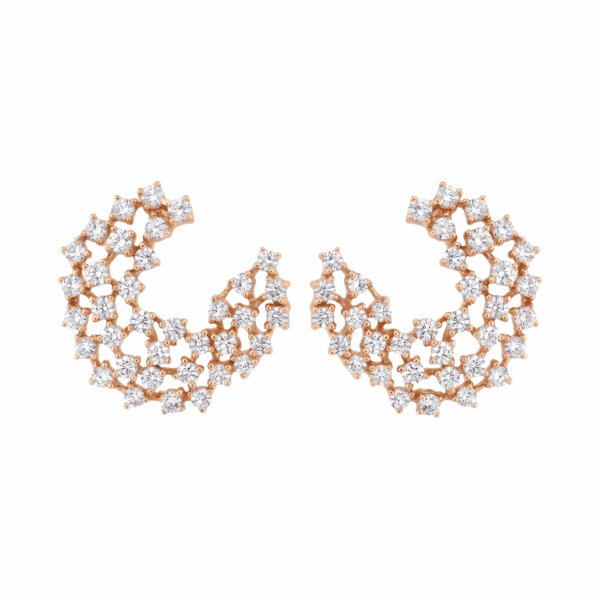 Fancy Earrings
